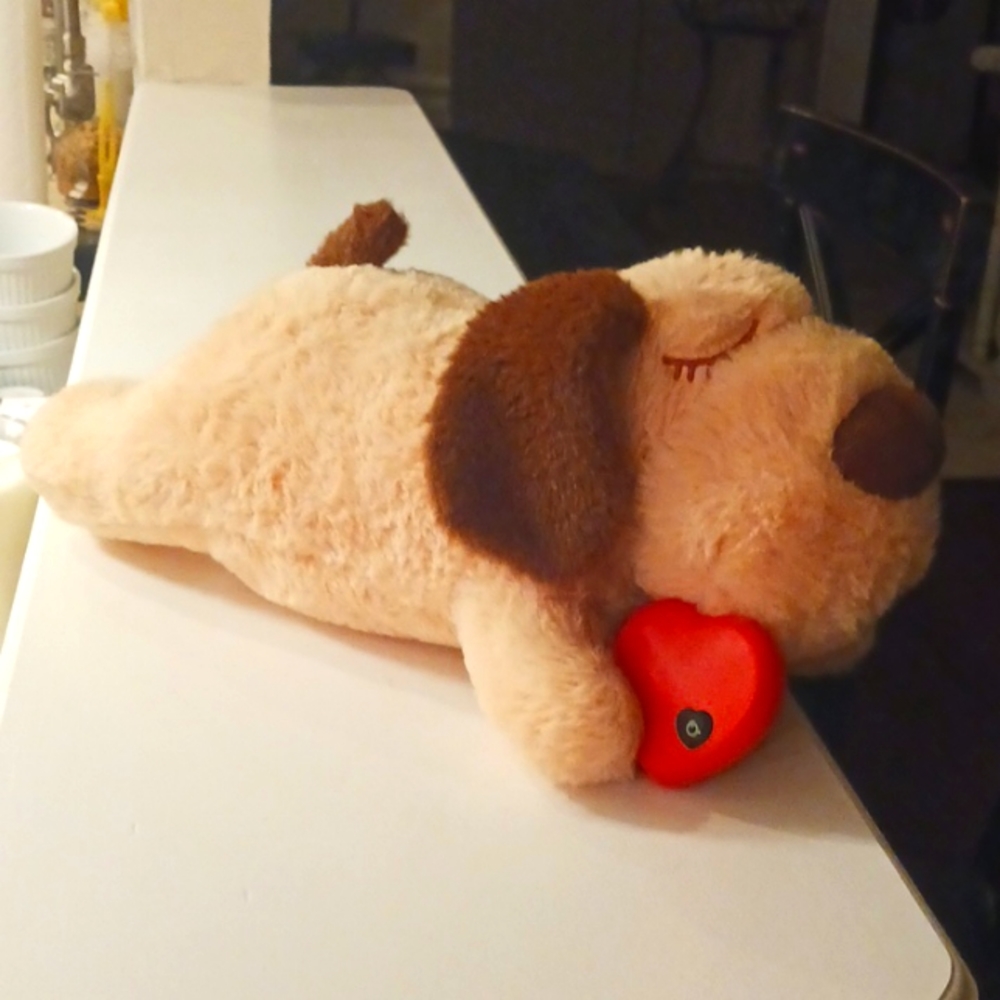 Stuffed Dog with Heartbeart